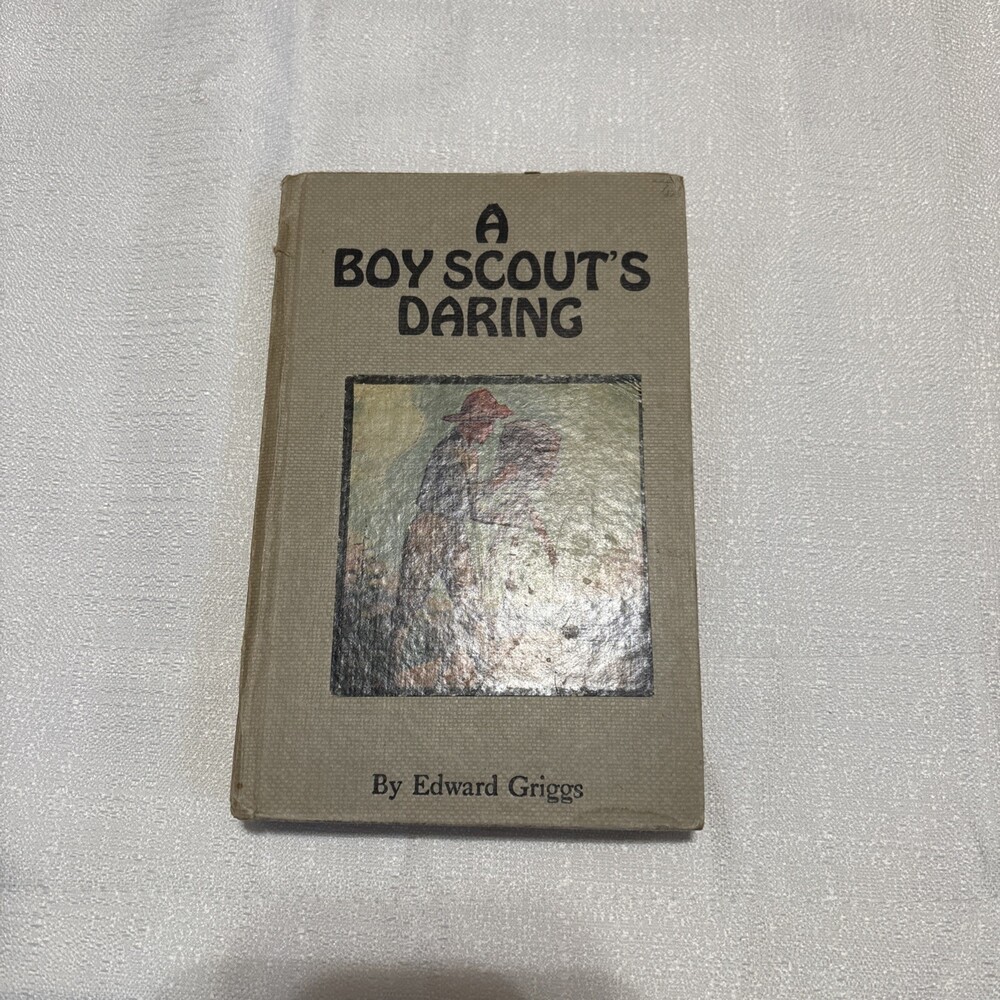 A Boy Scout’s Daring